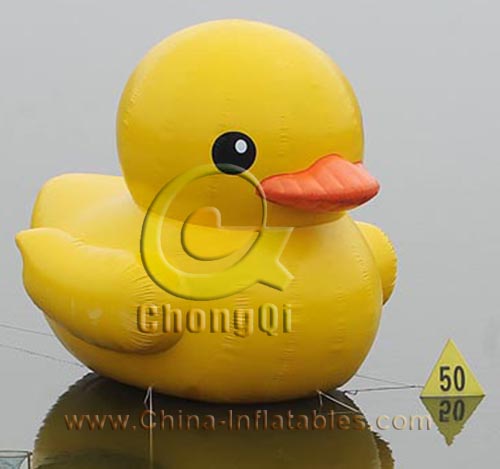 water inflatable duck